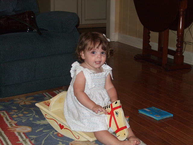 Rocking horse
