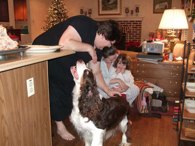 Dogs are crazy