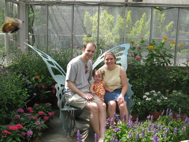 Butterfly exhibit