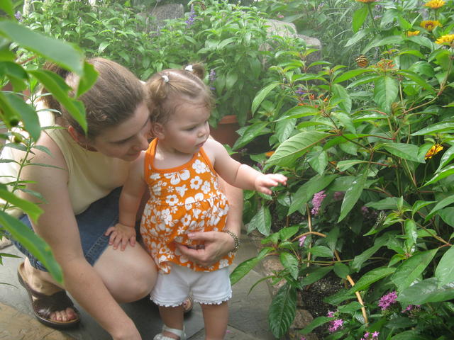 Exploring the butterfly exhibit