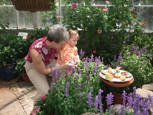 Looking at butterflies