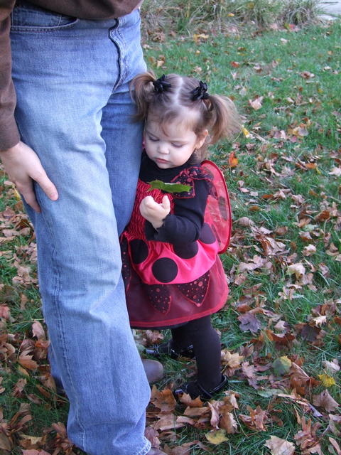 Not sure about Halloween