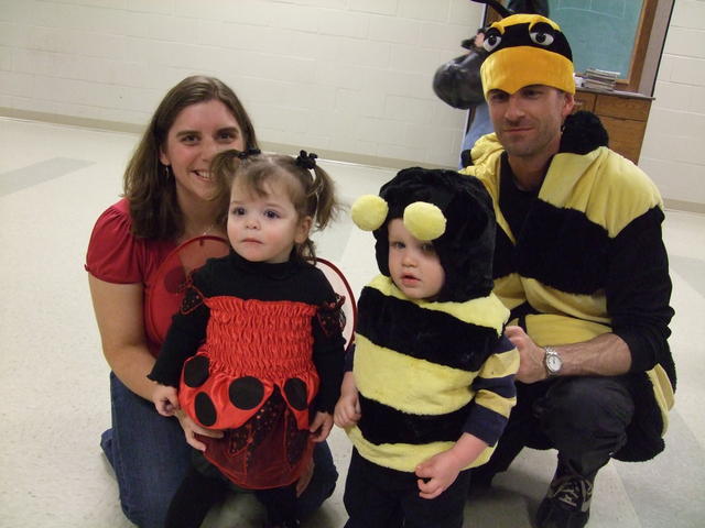 Ladybugs and bees