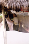 003_016.jpg (992x1488)