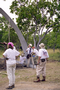 004_021.jpg (992x1488)