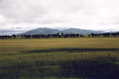 009_003.jpg (1489x992)