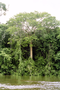 014_023.jpg (992x1488)