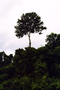 014_025.jpg (992x1488)