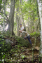 016_019.jpg (992x1488)