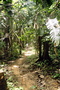 016_023.jpg (992x1488)
