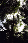 017_015.jpg (992x1489)