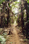 018_001.jpg (992x1488)